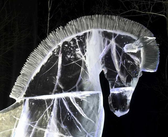 Ice 2006 2 IMGP8608.jpg